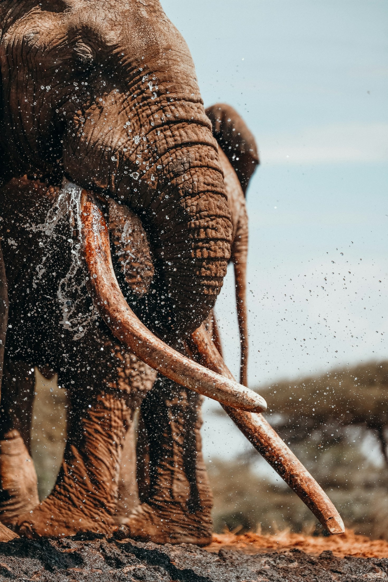 10 luoghi imperdibili per un safari in Kenya